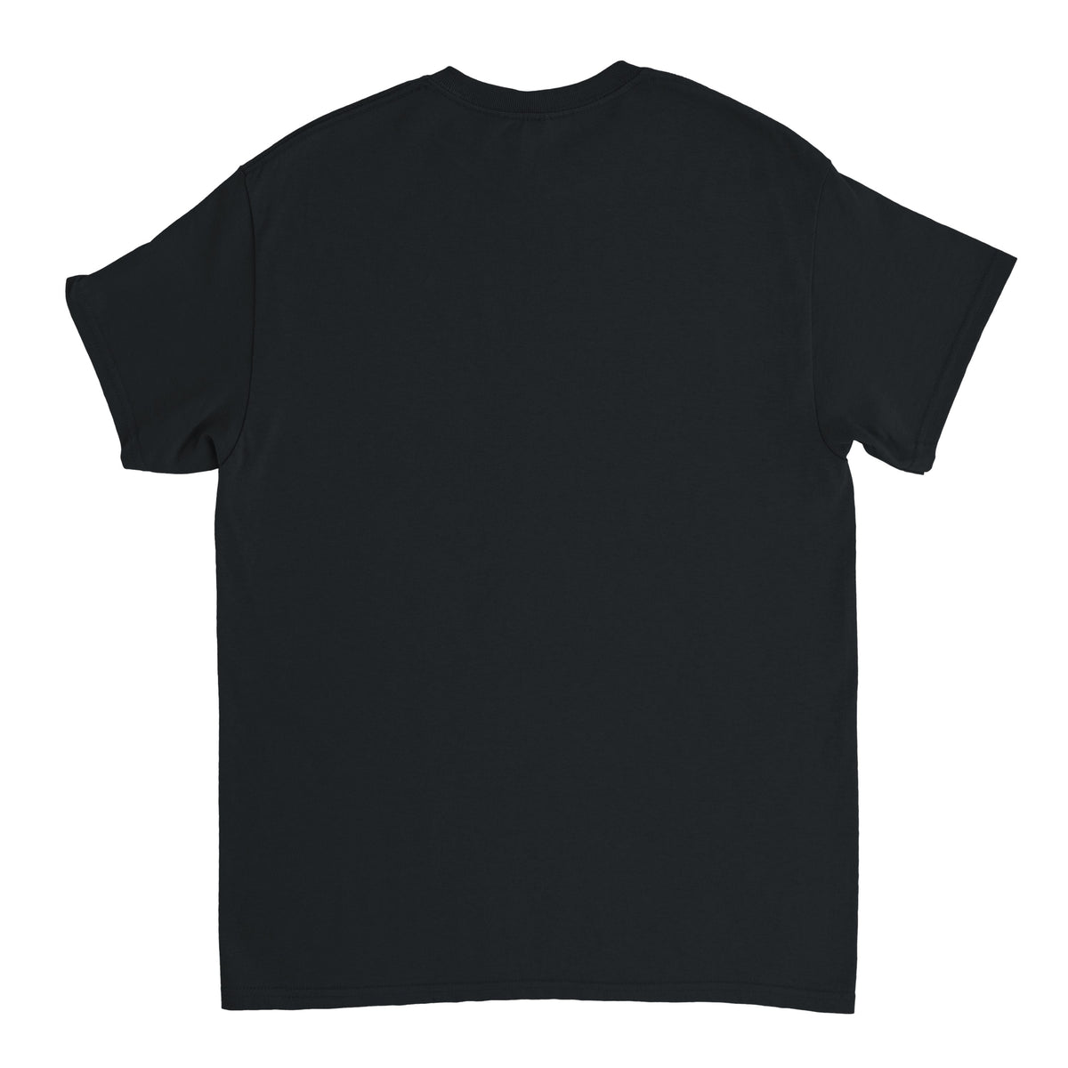 Haul it like a Airplane T-Shirt