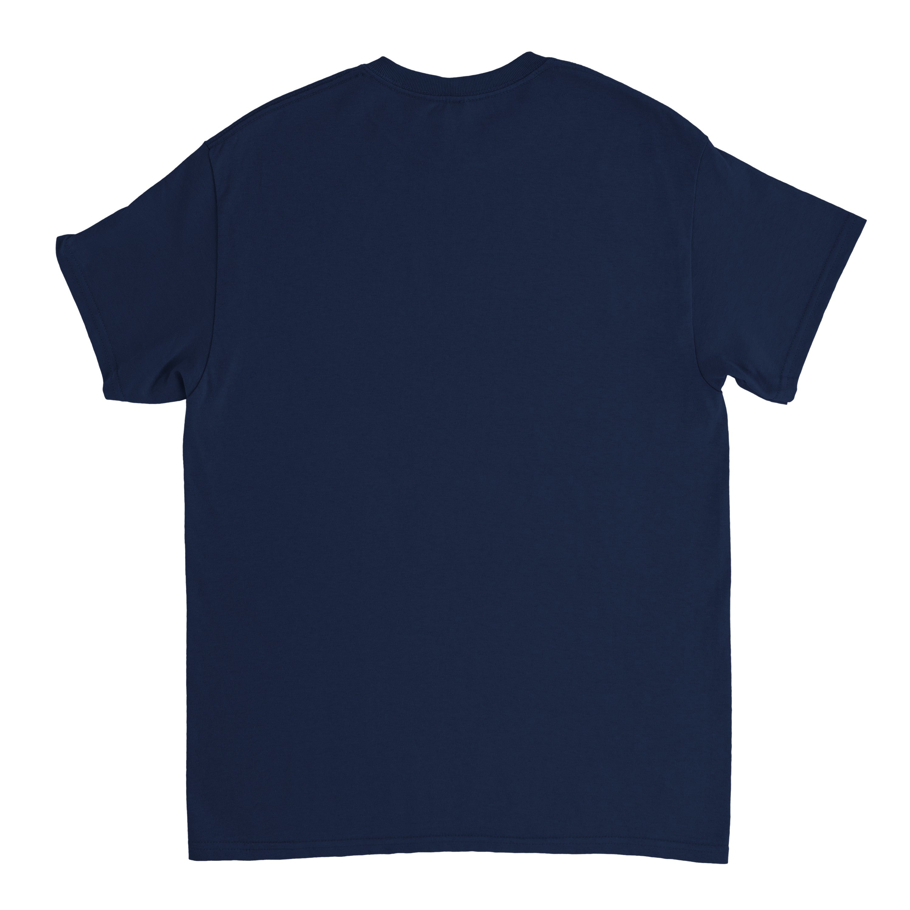 Haul it like a Airplane T-Shirt